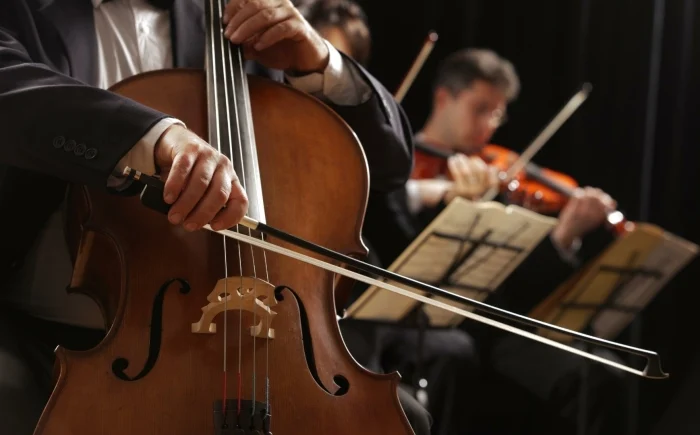 Cello wordt bespeeld als voorbeeld van Salonorkest Divertimento