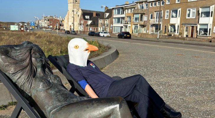 Kampioenschap-meeuwenschreeuwen